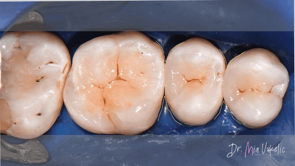 12image-png-Jan-29-2026-03-56-41-7197-PM