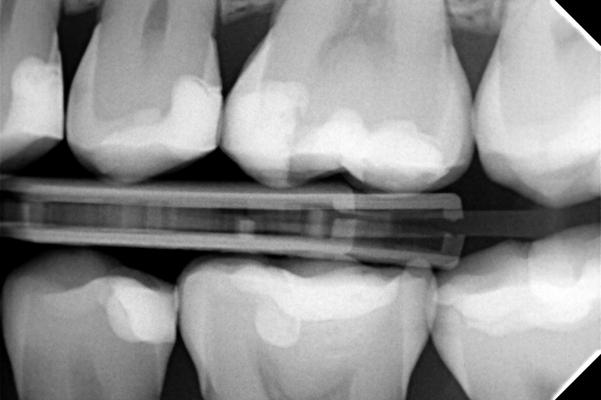 15 image-png-Jan-29-2026-03-58-44-5229-PM